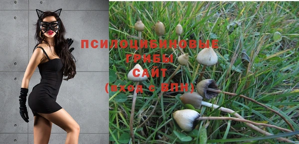 спиды Алексин