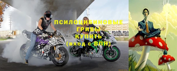 спиды Алексин