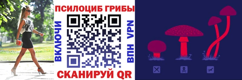 Галлюциногенные грибы мицелий  сколько стоит  Вологда 